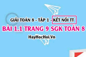 Bài 1.1 SGK Toán 8 tập 1 Kết nối tri thức